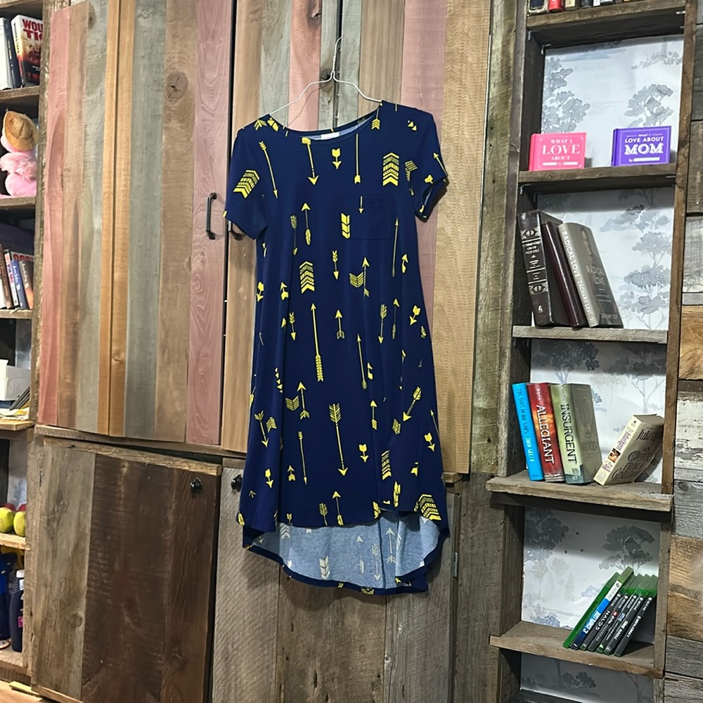 LuLaRoe Carly dress